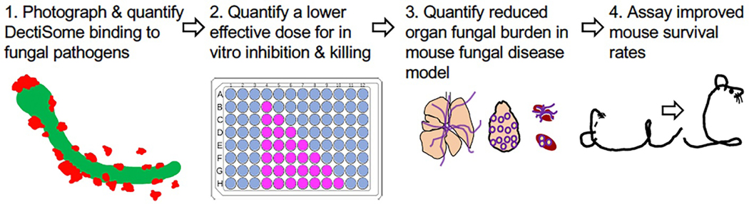 Fig. 3.