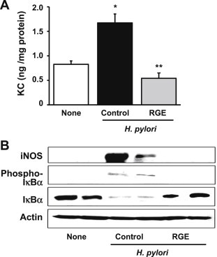 Fig. 5