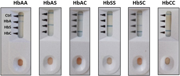 Fig. 2