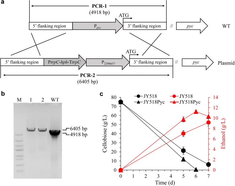 Fig. 8