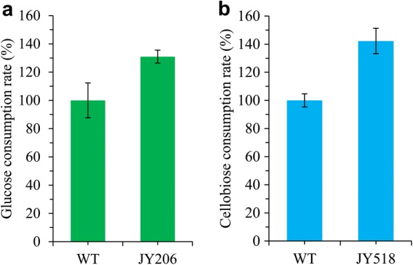 Fig. 4