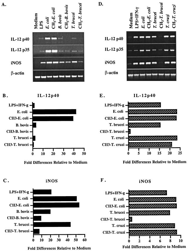 FIG. 8