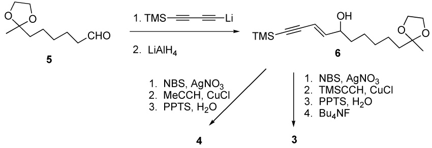 Scheme 2