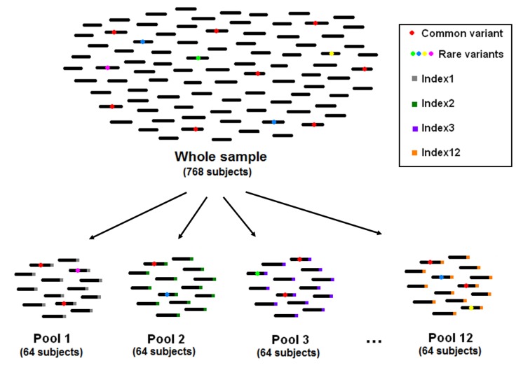 FIGURE 1