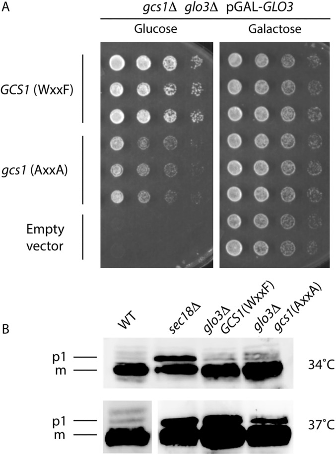 Fig. S6.