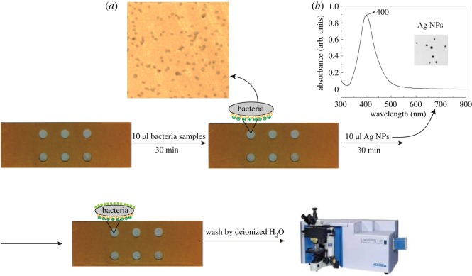 Figure 2.