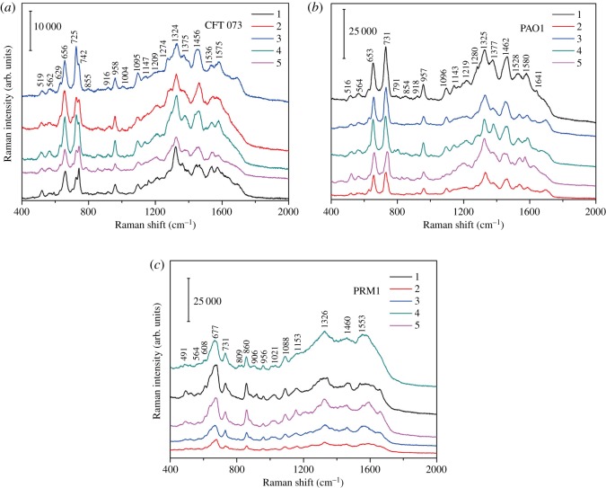 Figure 4.