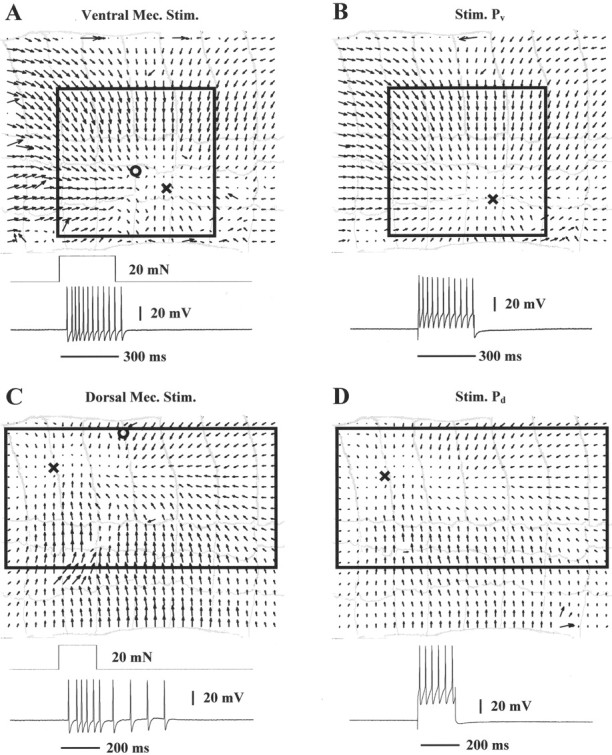 Fig. 9.