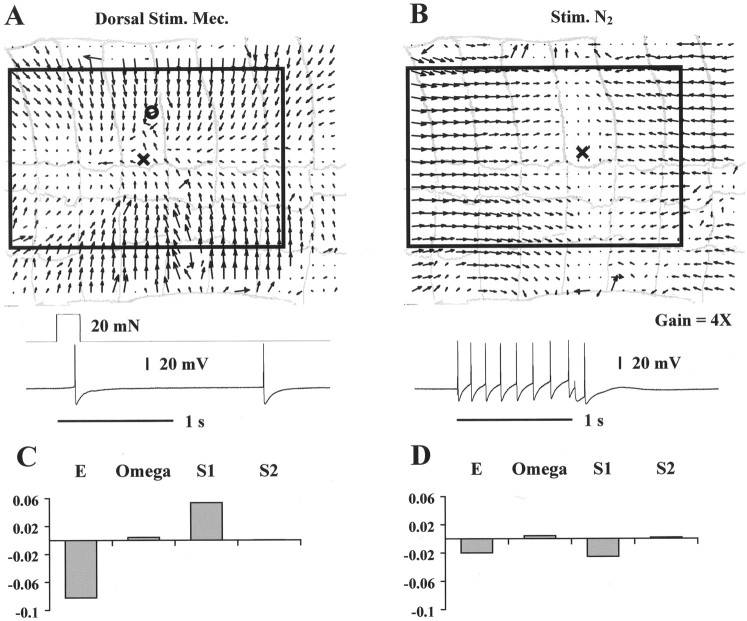 Fig. 12.