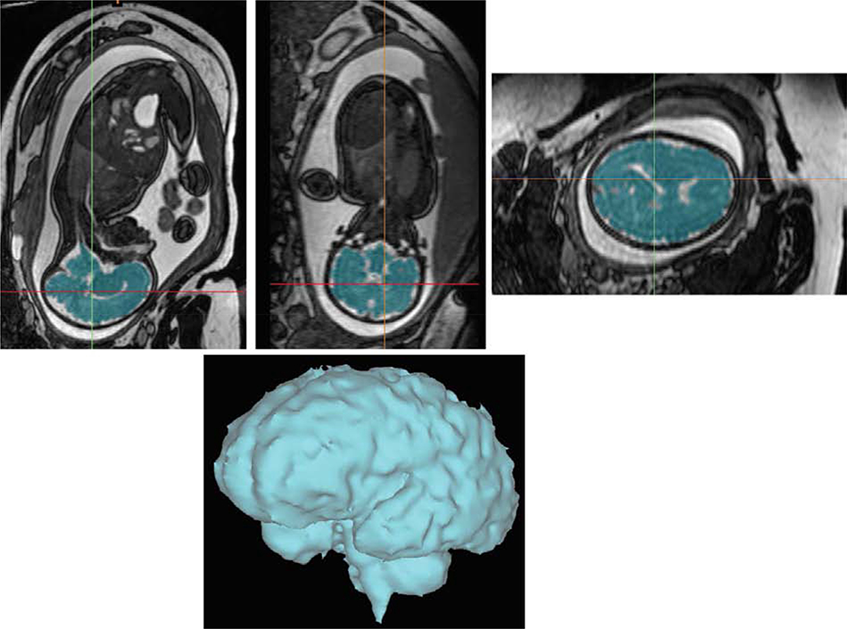 Figure 1.