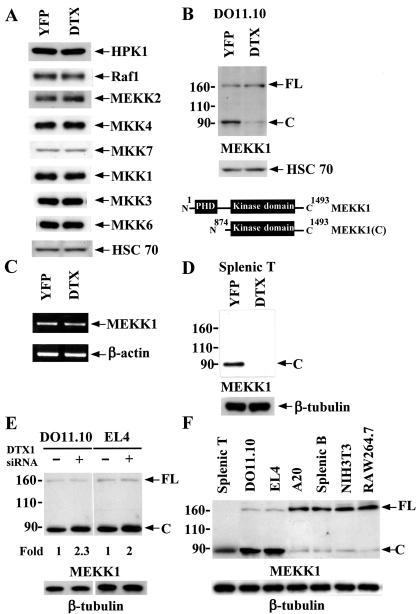 FIG. 5.