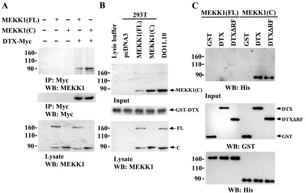 FIG. 8.