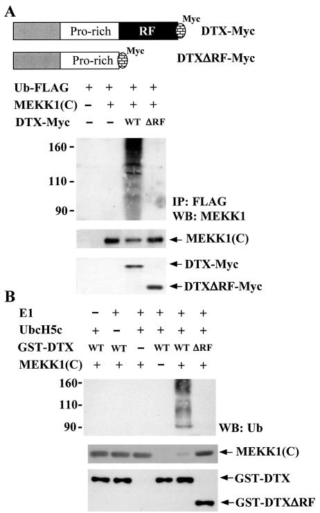 FIG. 9.