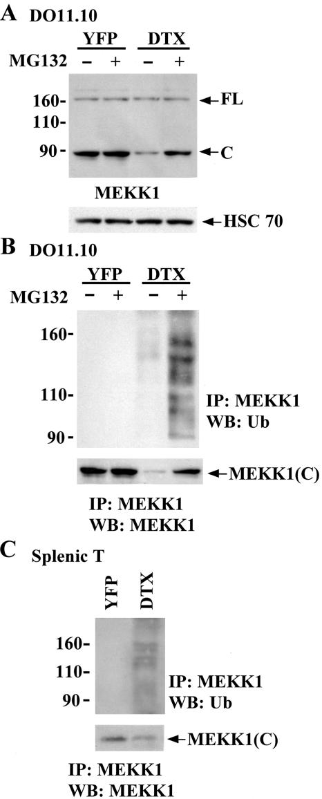 FIG. 7.