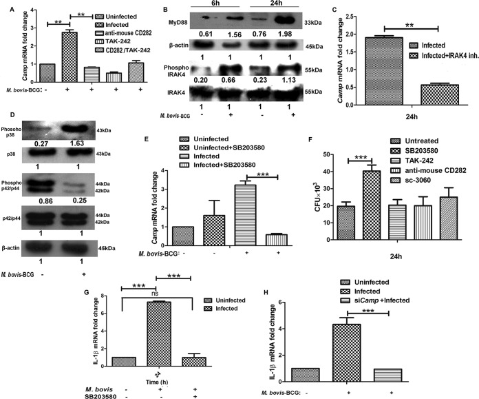 FIG 6