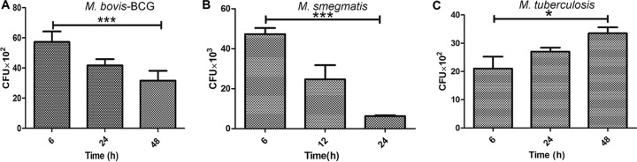 FIG 2