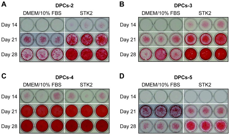 Figure 4.