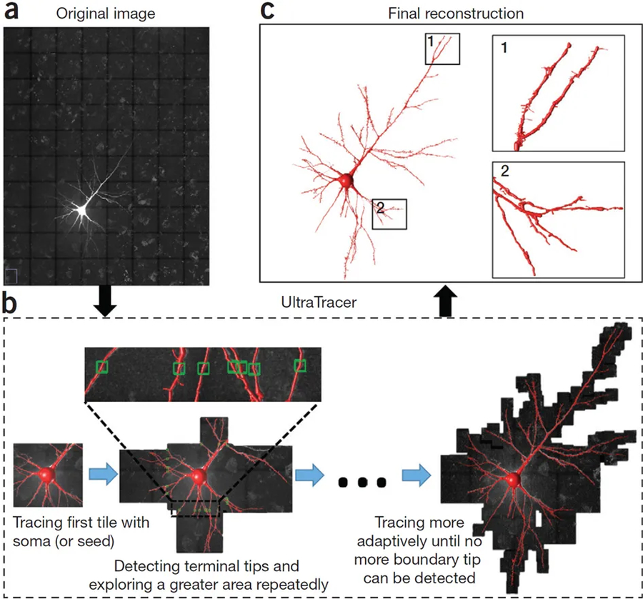 Figure 1: