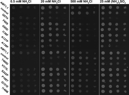 FIGURE 2.