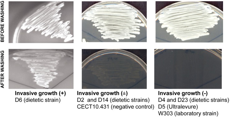 Figure 6