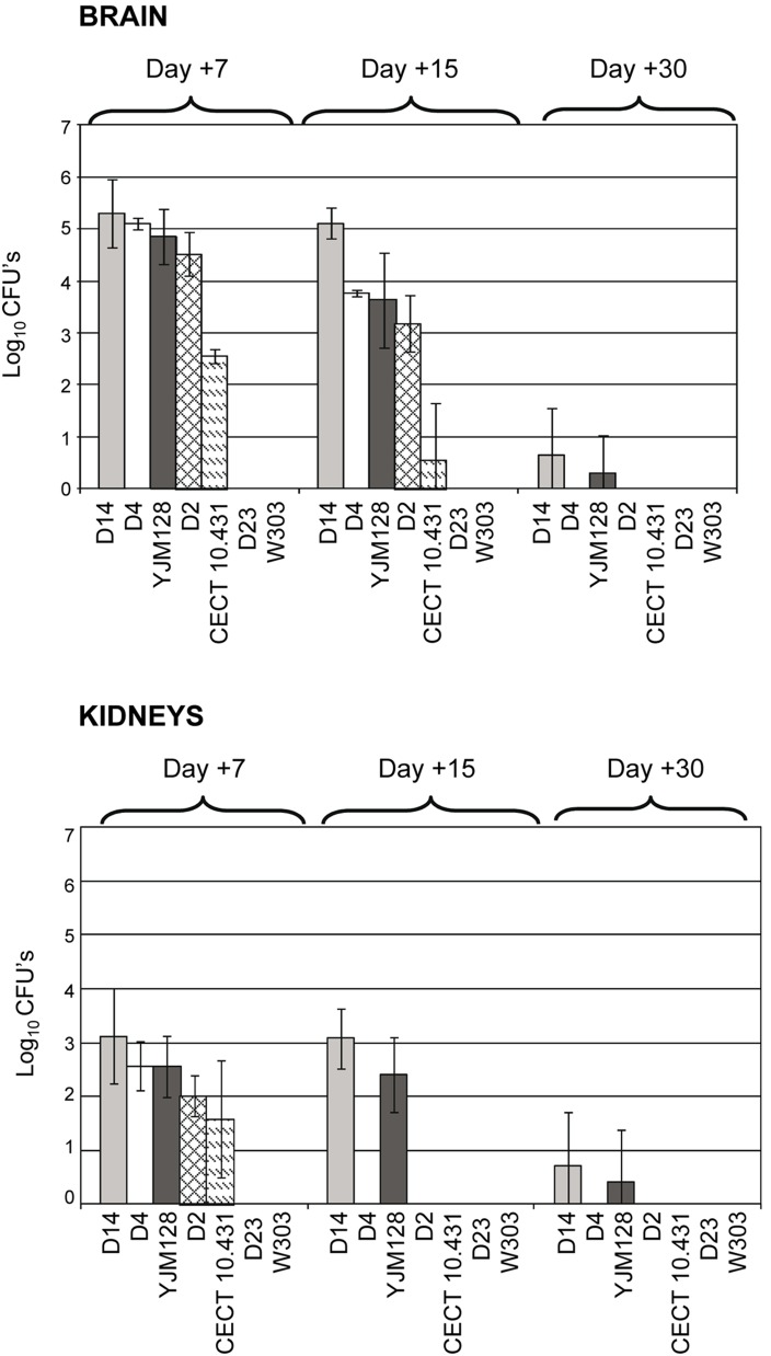 Figure 10