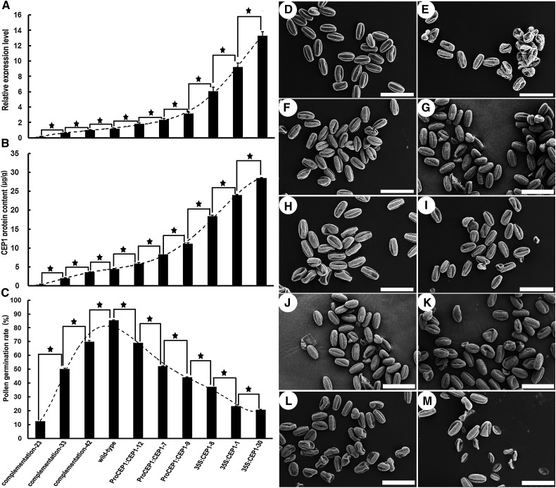 Figure 10.