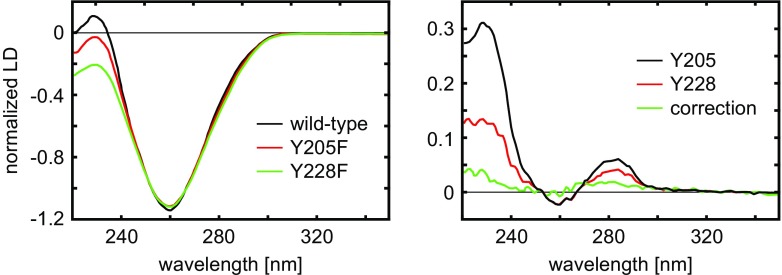 Fig. 13