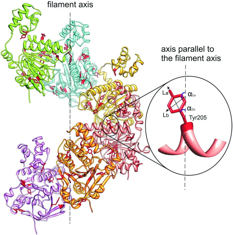 Fig. 14