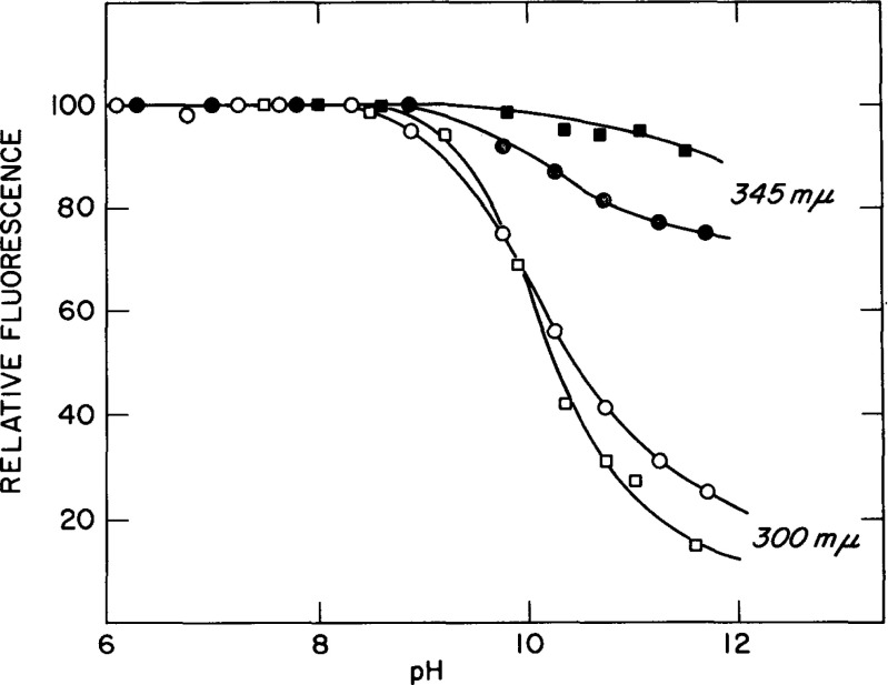 Fig. 10