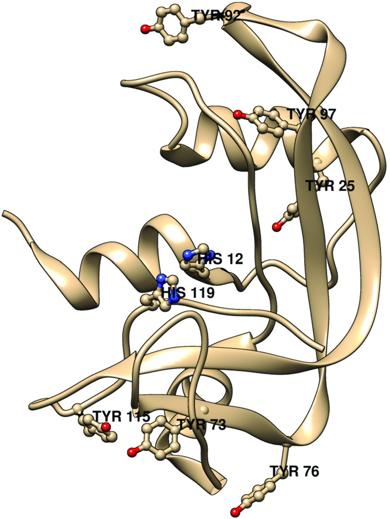 Fig. 15