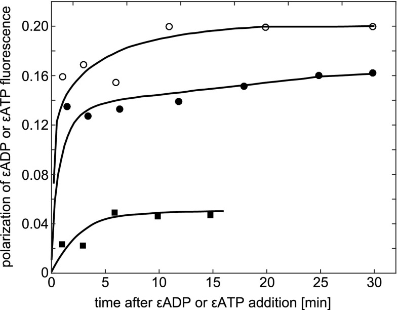 Fig. 12