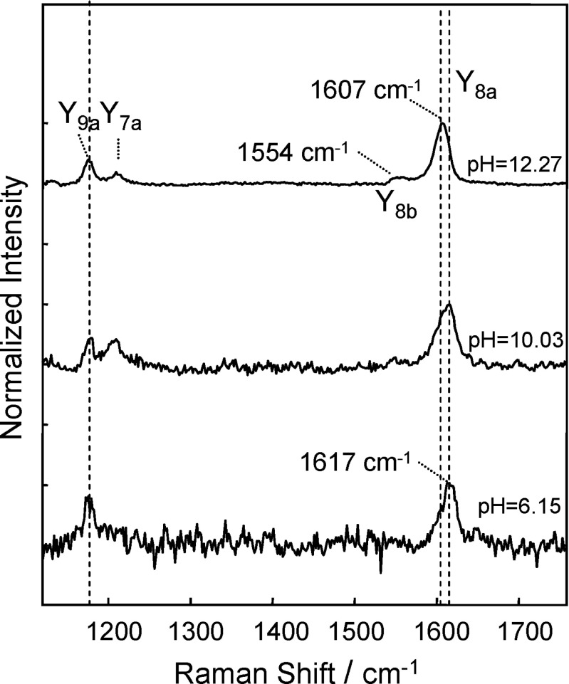 Fig. 18