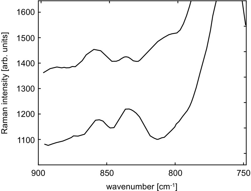 Fig. 17