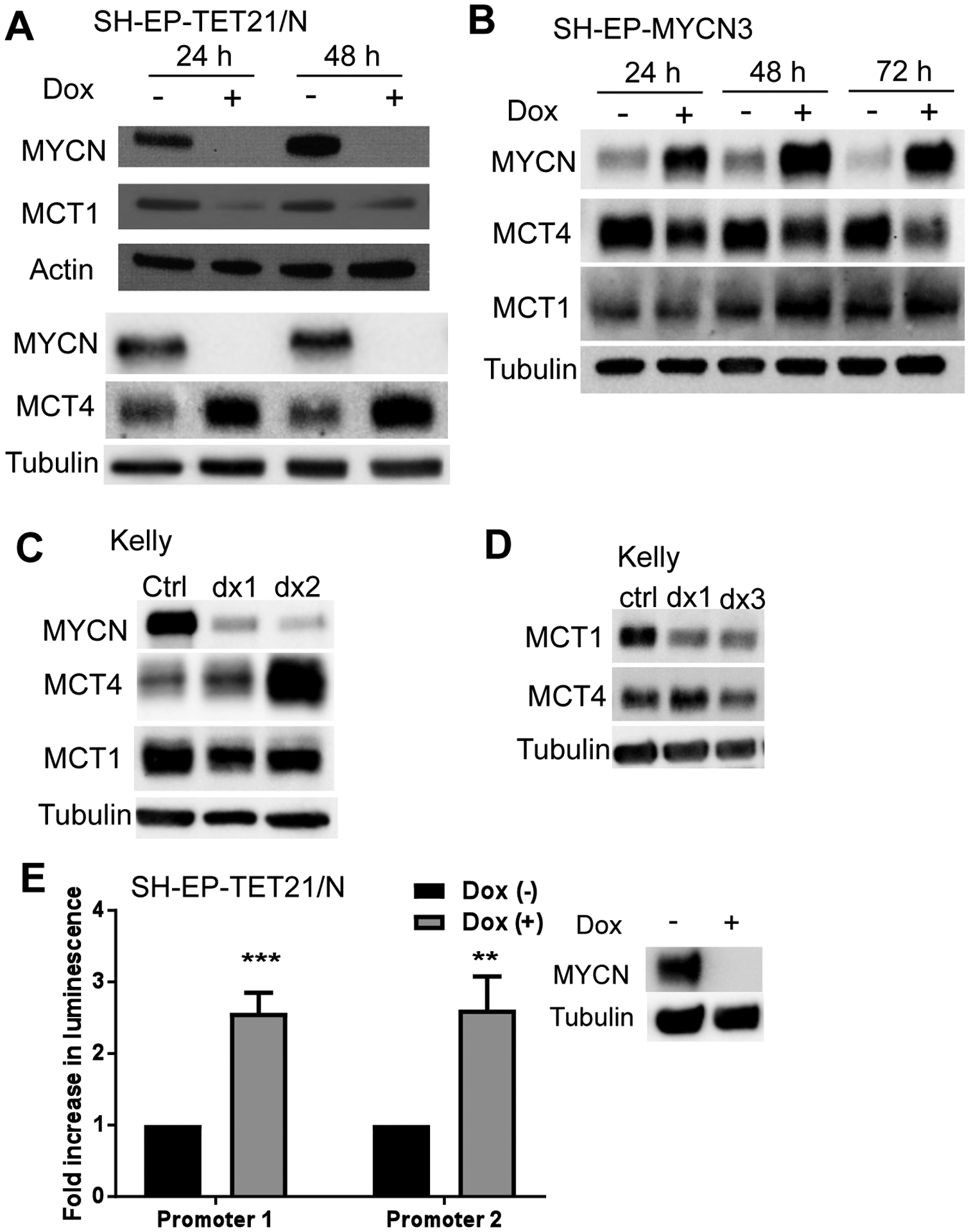 Figure 5.