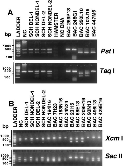 Figure  4