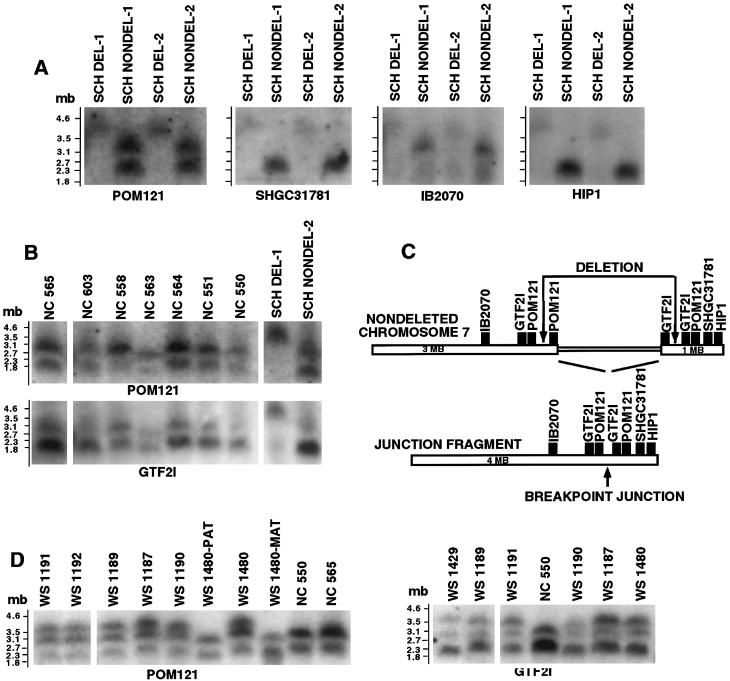 Figure  3