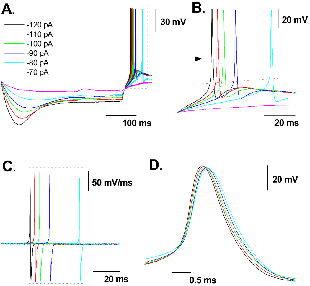 Figure 5