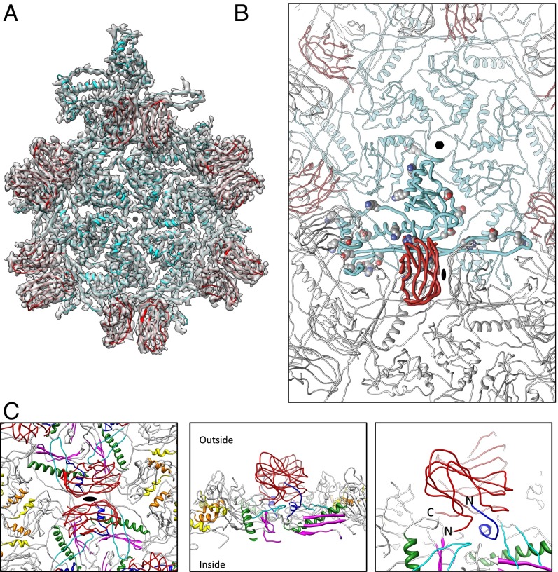 Fig. 4.