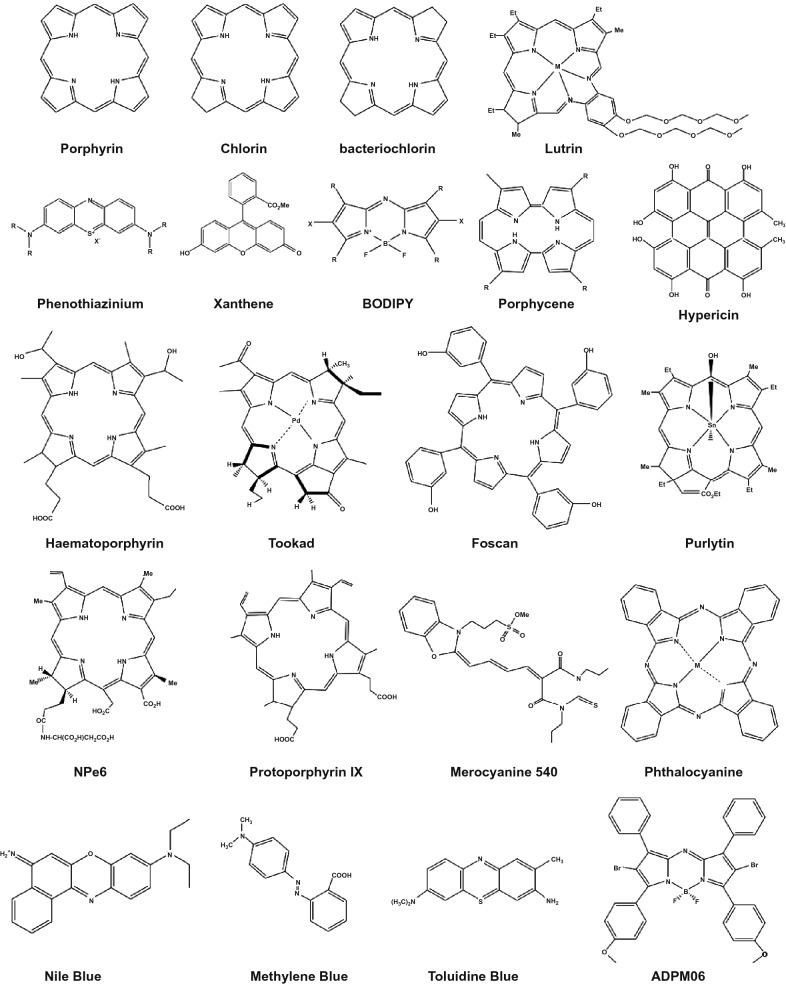 Fig. 3