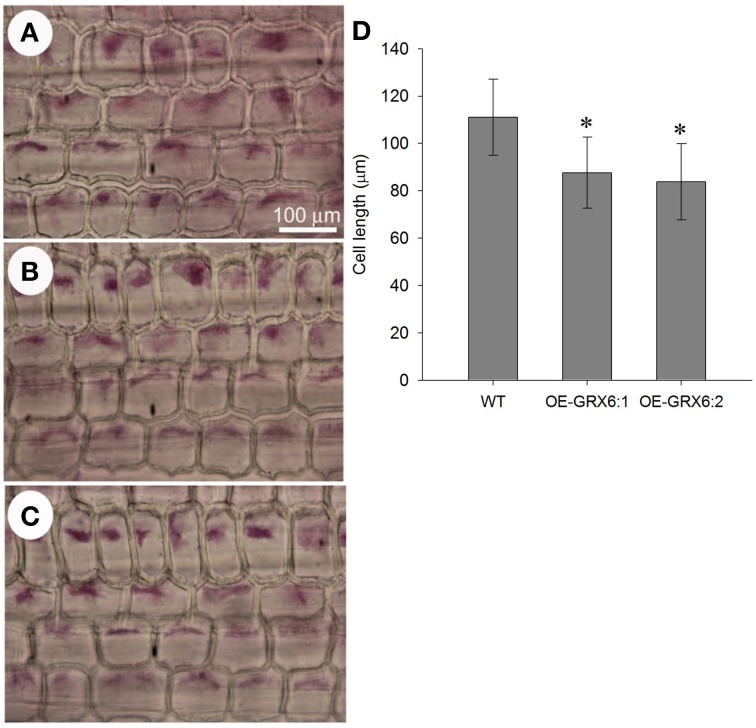 Figure 10