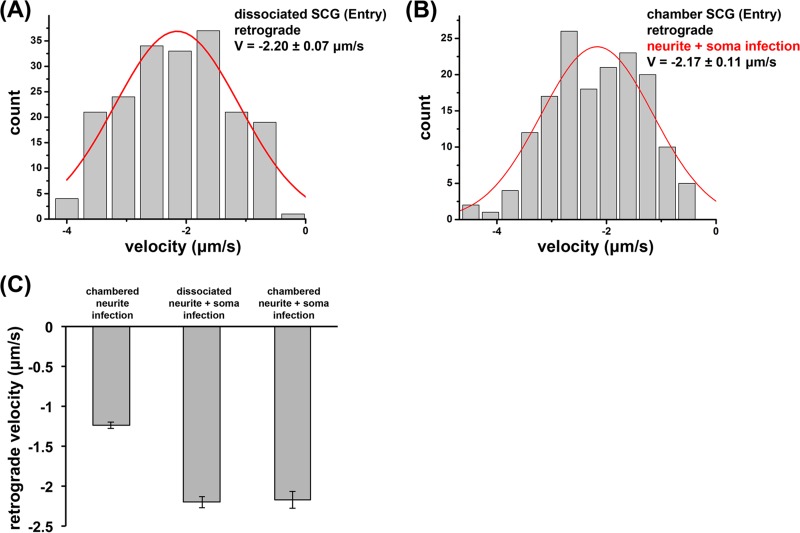 FIG 6