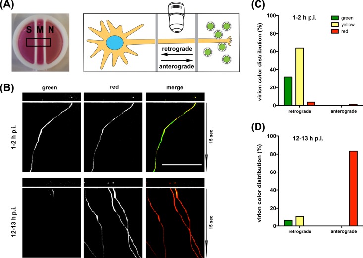 FIG 3