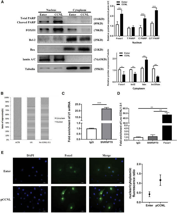 Figure 6