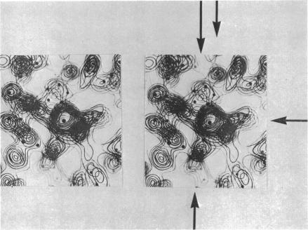 graphic file with name pnas00111-0044-a.jpg