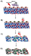 Fig. 10.
