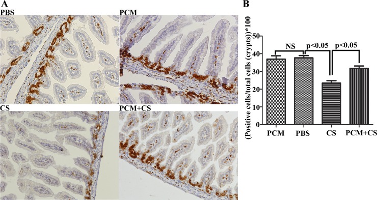 Fig. 7.