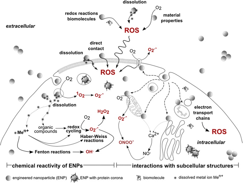 Fig. 1