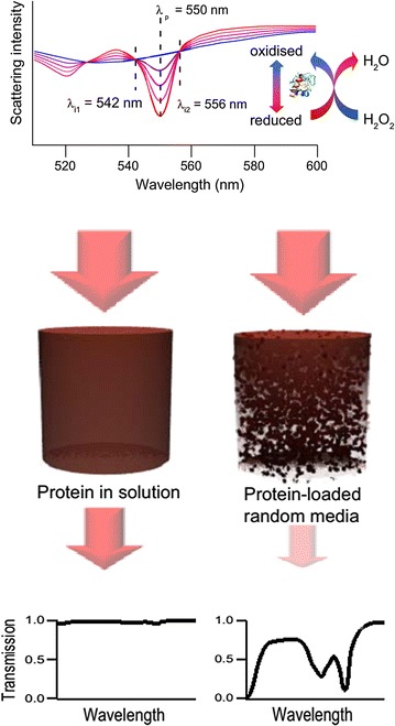 Fig. 7