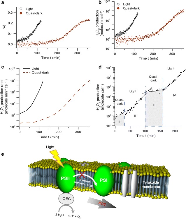 Fig. 13