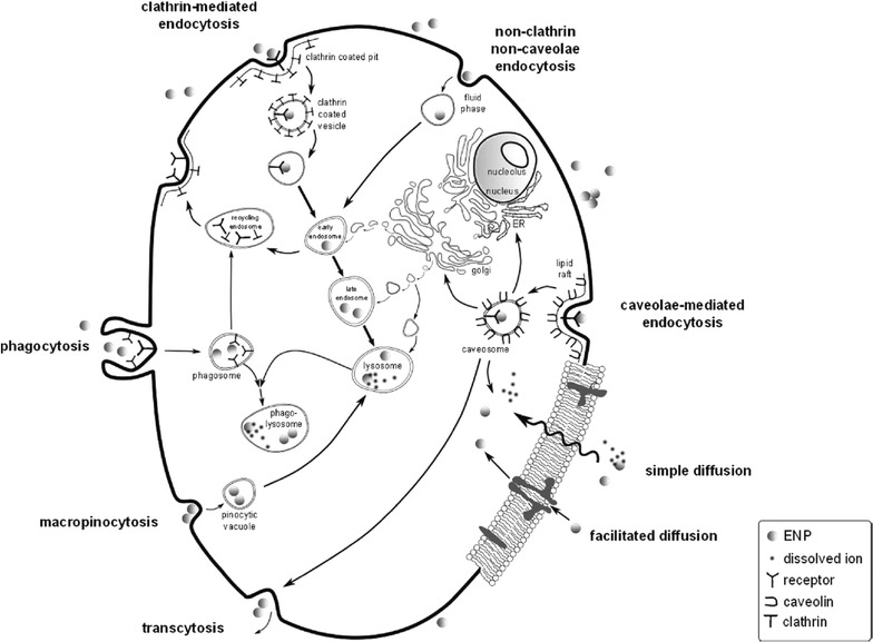 Fig. 2